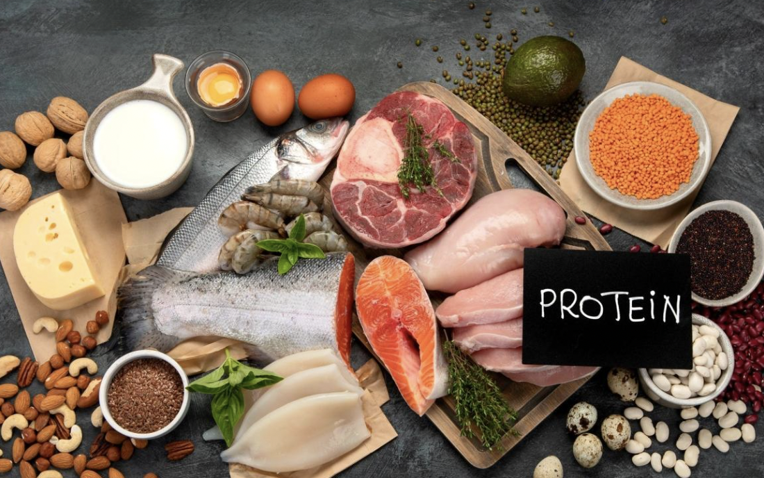 Protéines et perte de gras